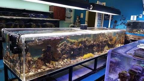Reef Keepers Aquarium, Inc. Reef Keepers Aquarium, Inc.